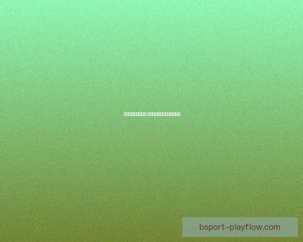 B体育平台是否可靠 用户体验与安全性全方位评测